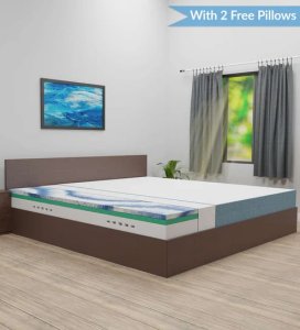 Zen Orthopedic 10 Inch Soft Memory Foam In Queen Size