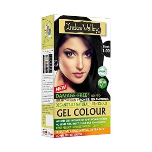 INDUS VALLEY Damage Free Natural Gel Hair Colour for Women | Ammonia & PPD Free Organic Hair Colour with 100% Grey Coverage, Long Lasting Hair Color Trial Pack | Black
