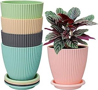 INKULTURE Plastic Round Flower Pots for Home Planters, Terrace, Garden Etc | Pack of 05 | Multicolor